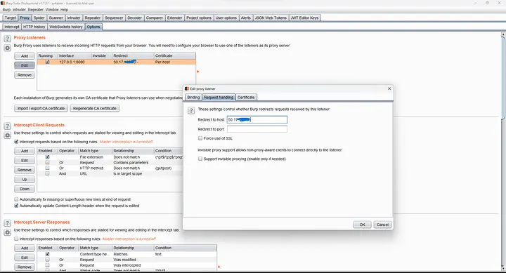 Burp's Hostname Resolution Override pins `target.com` to the origin IP, so every request in the tool goes straight to the origin — past Cloudflare.